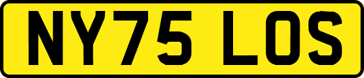 NY75LOS