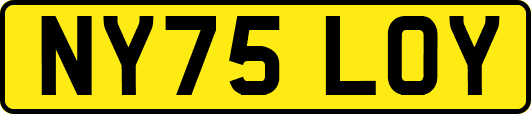NY75LOY