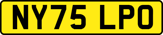 NY75LPO