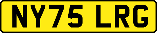 NY75LRG