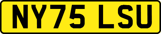 NY75LSU
