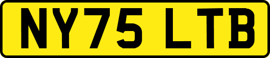 NY75LTB
