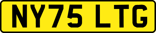 NY75LTG