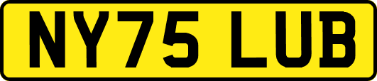 NY75LUB