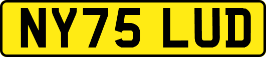 NY75LUD