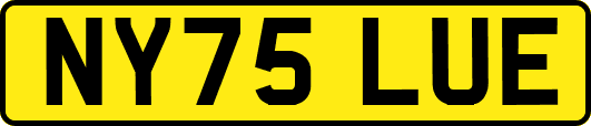 NY75LUE