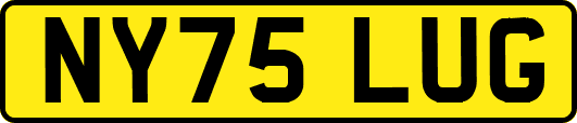 NY75LUG