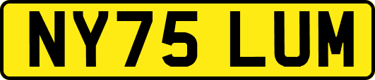 NY75LUM