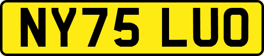 NY75LUO