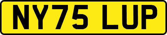 NY75LUP