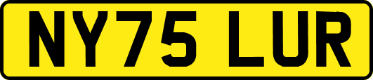 NY75LUR