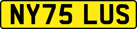 NY75LUS