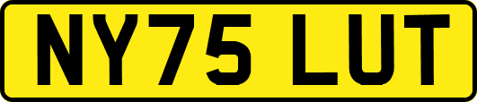 NY75LUT