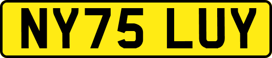 NY75LUY