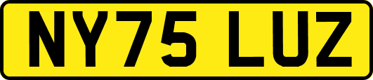 NY75LUZ