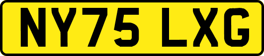 NY75LXG