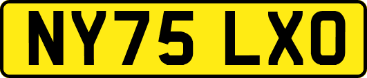 NY75LXO