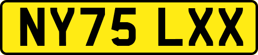 NY75LXX