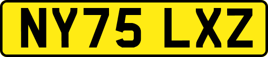 NY75LXZ