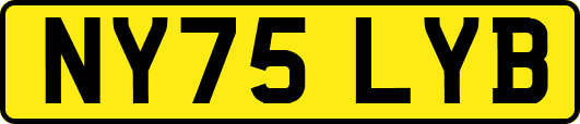 NY75LYB