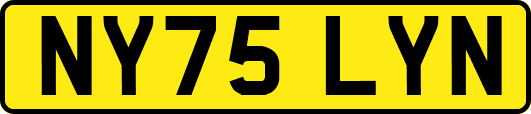 NY75LYN