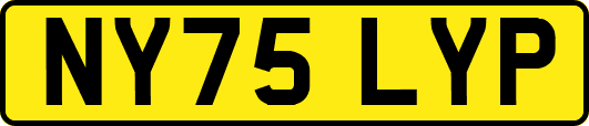 NY75LYP