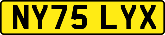 NY75LYX