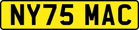 NY75MAC