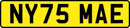NY75MAE