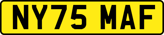 NY75MAF
