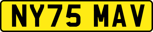 NY75MAV