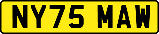 NY75MAW