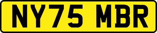 NY75MBR