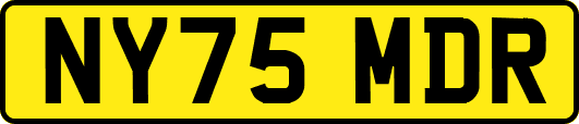 NY75MDR