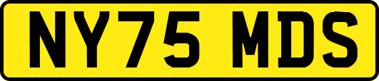 NY75MDS