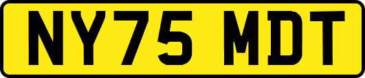 NY75MDT