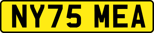 NY75MEA