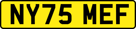 NY75MEF