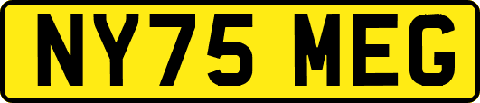 NY75MEG