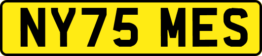 NY75MES