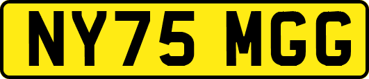 NY75MGG