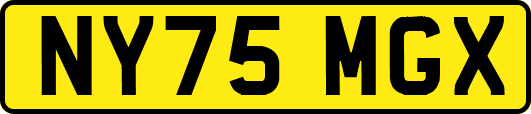 NY75MGX