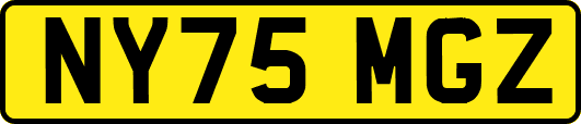 NY75MGZ