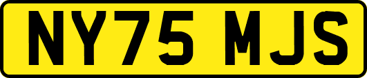 NY75MJS