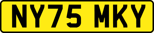 NY75MKY