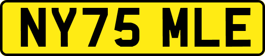 NY75MLE