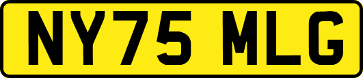 NY75MLG