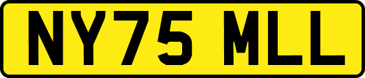 NY75MLL