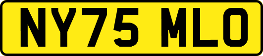 NY75MLO