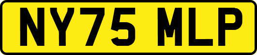 NY75MLP